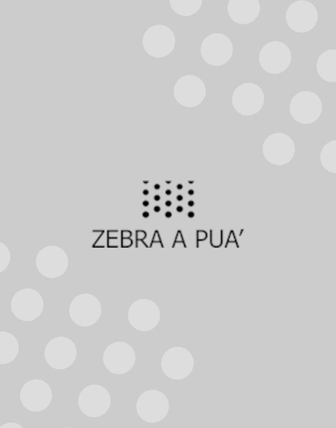 ZEBRA Shop Fun - A sua roupa de inverno merece toda a atenção e cuidado. 🧣 Máquina  Tira-Borbotos PVP 5€ em